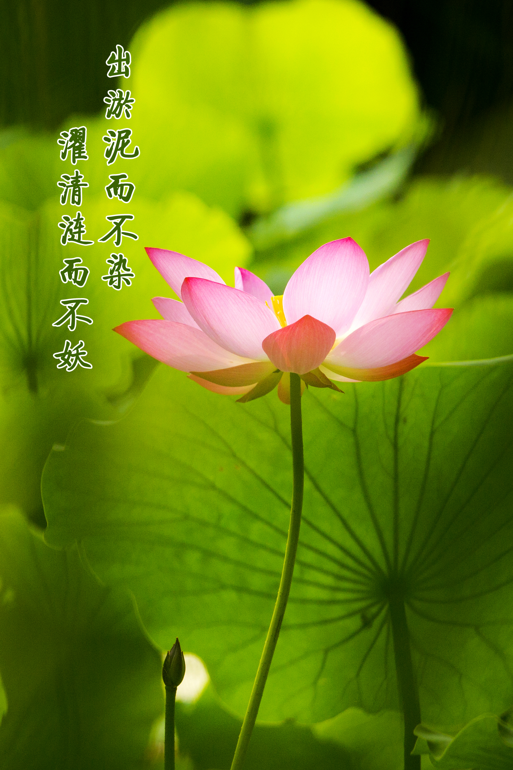 云顶集团·(中国大陆)唯一官方网站