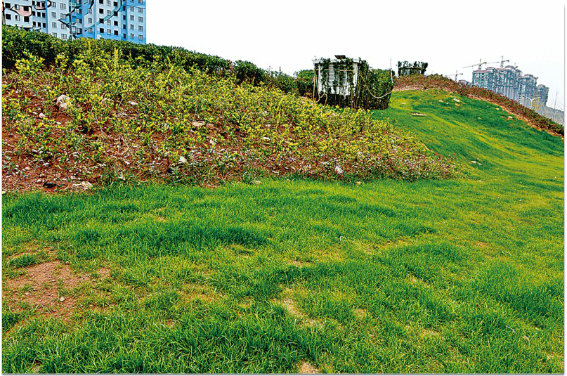 云顶集团·(中国大陆)唯一官方网站