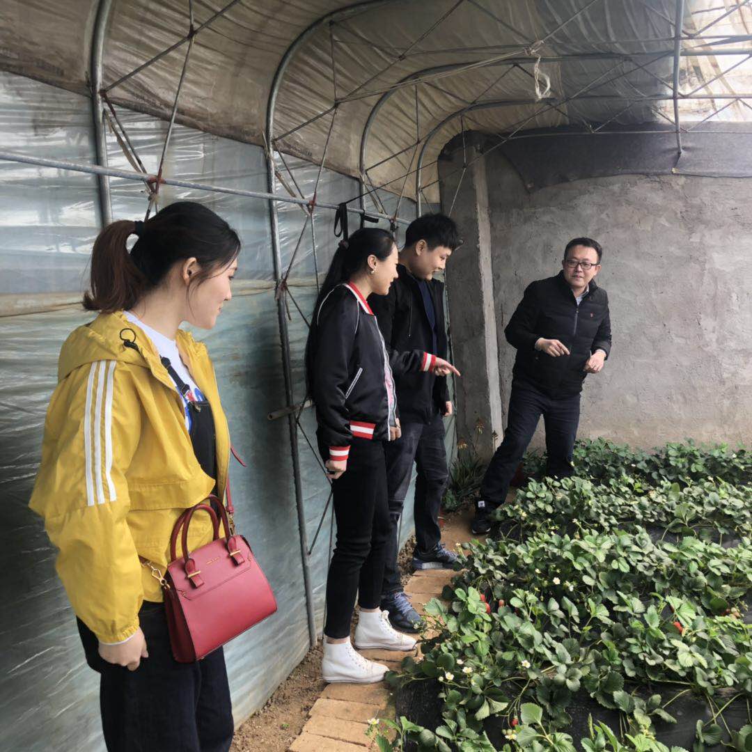 云顶集团·(中国大陆)唯一官方网站