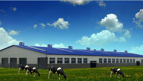 im电竞·(中国)电子竞技平台