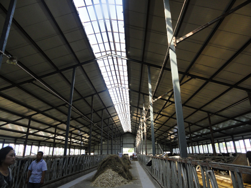 im电竞·(中国)电子竞技平台