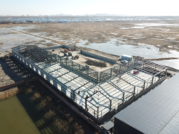 im电竞·(中国)电子竞技平台