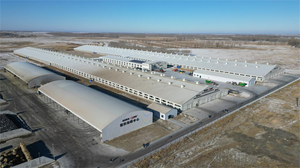 im电竞·(中国)电子竞技平台