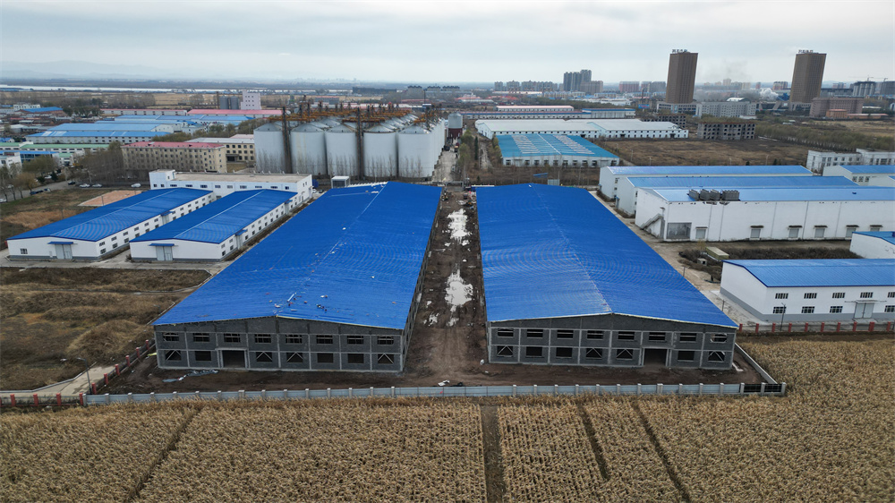 im电竞·(中国)电子竞技平台